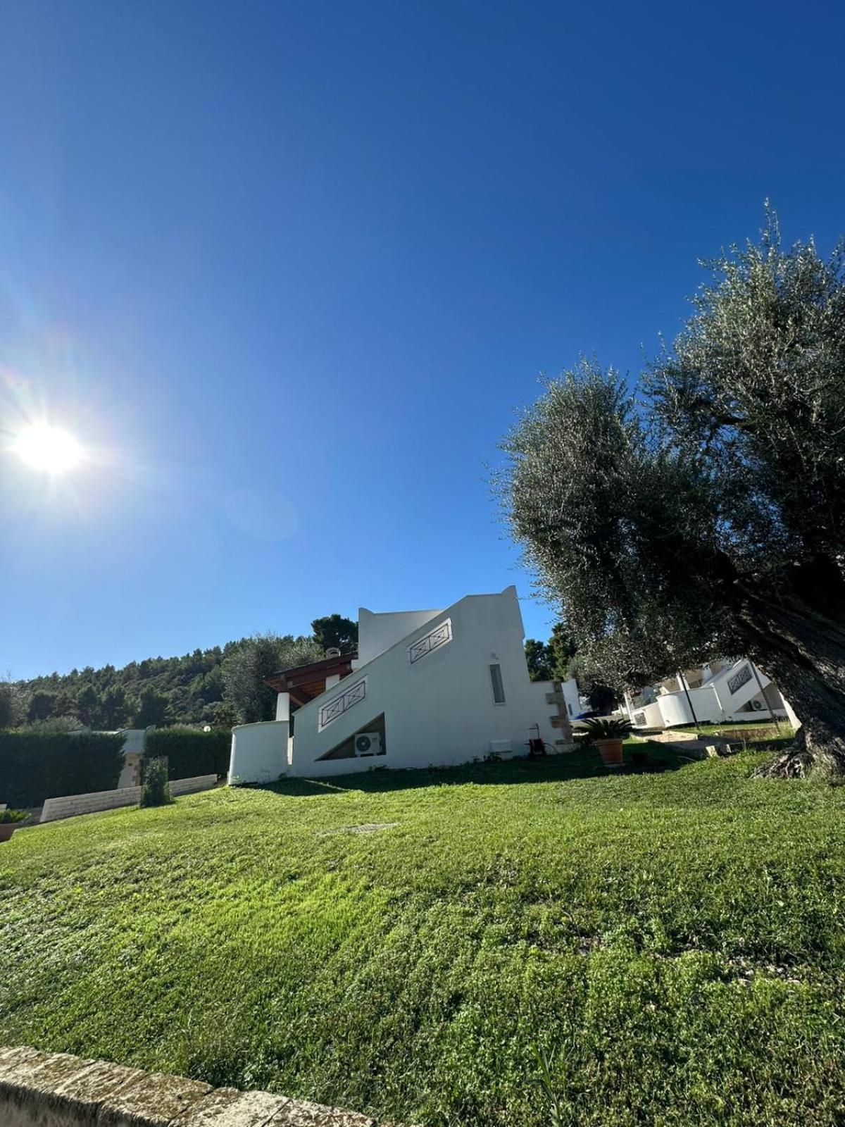 Villetta Roberto Le Macine Di Charme - Pugnochiuso Resort 维耶斯泰 外观 照片