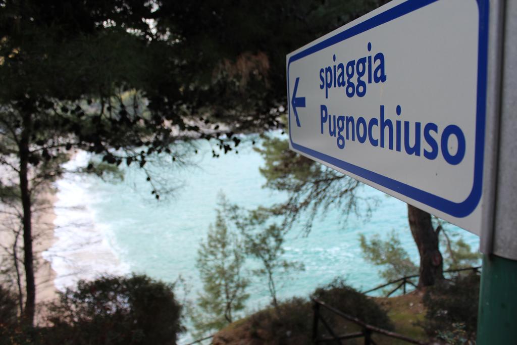 Villetta Roberto Le Macine Di Charme - Pugnochiuso Resort 维耶斯泰 外观 照片