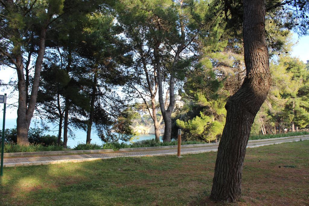 Villetta Roberto Le Macine Di Charme - Pugnochiuso Resort 维耶斯泰 外观 照片