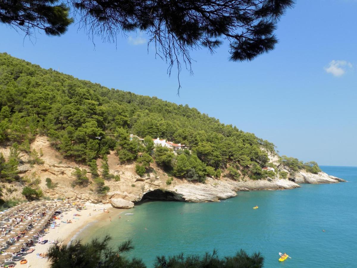 Villetta Roberto Le Macine Di Charme - Pugnochiuso Resort 维耶斯泰 外观 照片